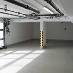 Moewennest * Goehren (Ruegen)