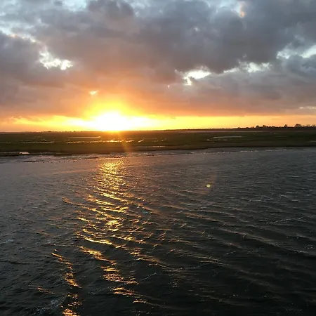 Moewennest ゲーレン