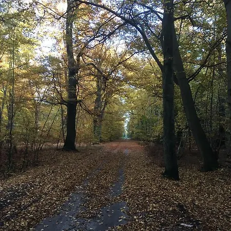 アパート Moewennest ゲーレン