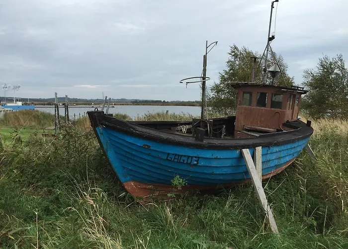Moewennest