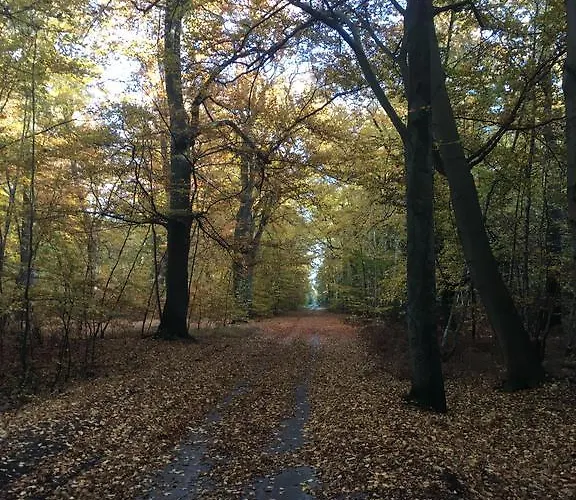 شقة Moewennest غورين